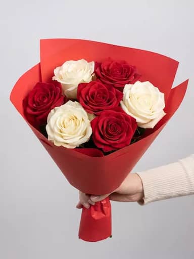 Букет живых цветов из 7 красно-белых роз, Эквадор, 50 см