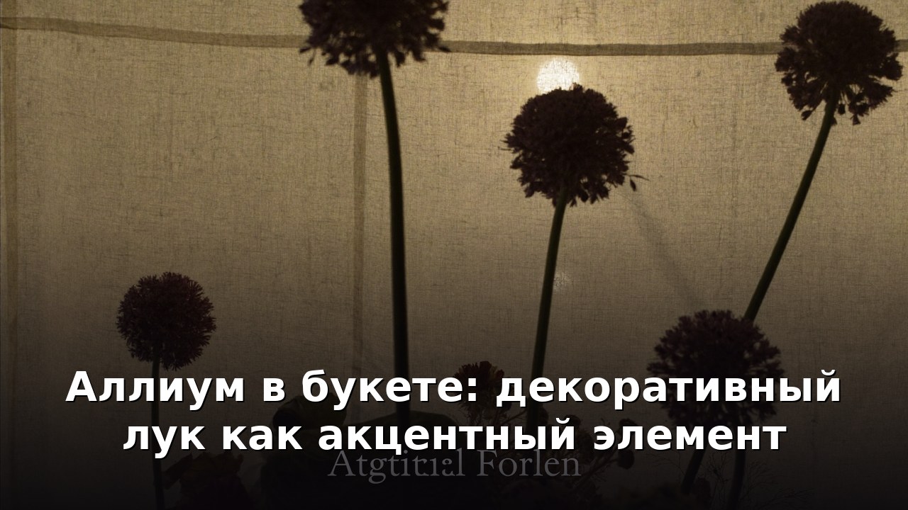 Аллиум в букете: декоративный лук как акцентный элемент