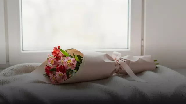 Альстромерии на 14 февраля: как выбрать букет и сколько он стоит