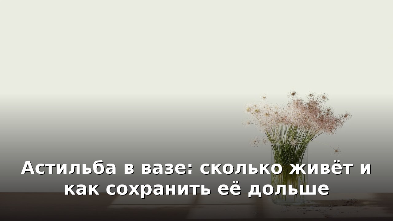 Астильба в вазе: сколько живёт и как сохранить её дольше