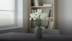 Белые ирисы начальнице: уместно ли и как выбрать
