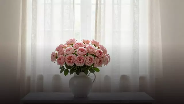 Большой букет из пионовидных роз: как выглядит и сколько стоит