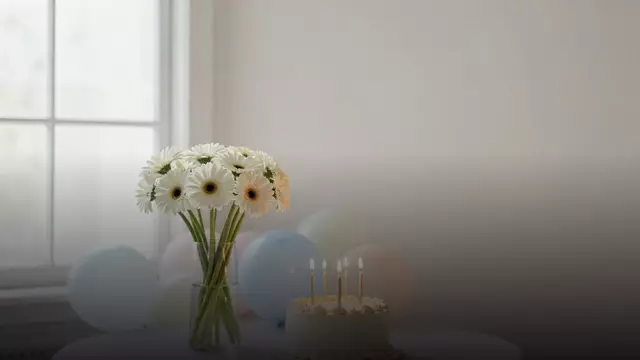 Букет белых гербер на день рождения: варианты, цены, советы флориста
