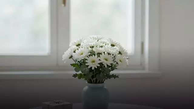 Букет белых хризантем на день рождения: варианты, цены, советы флориста