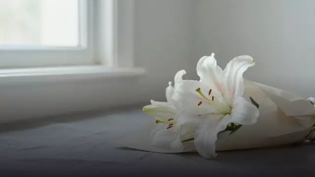 Букет белых лилий: как выбрать, сколько стоит и кому дарить