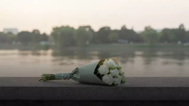 Букет белых роз на свидание: составы, цены и советы флориста