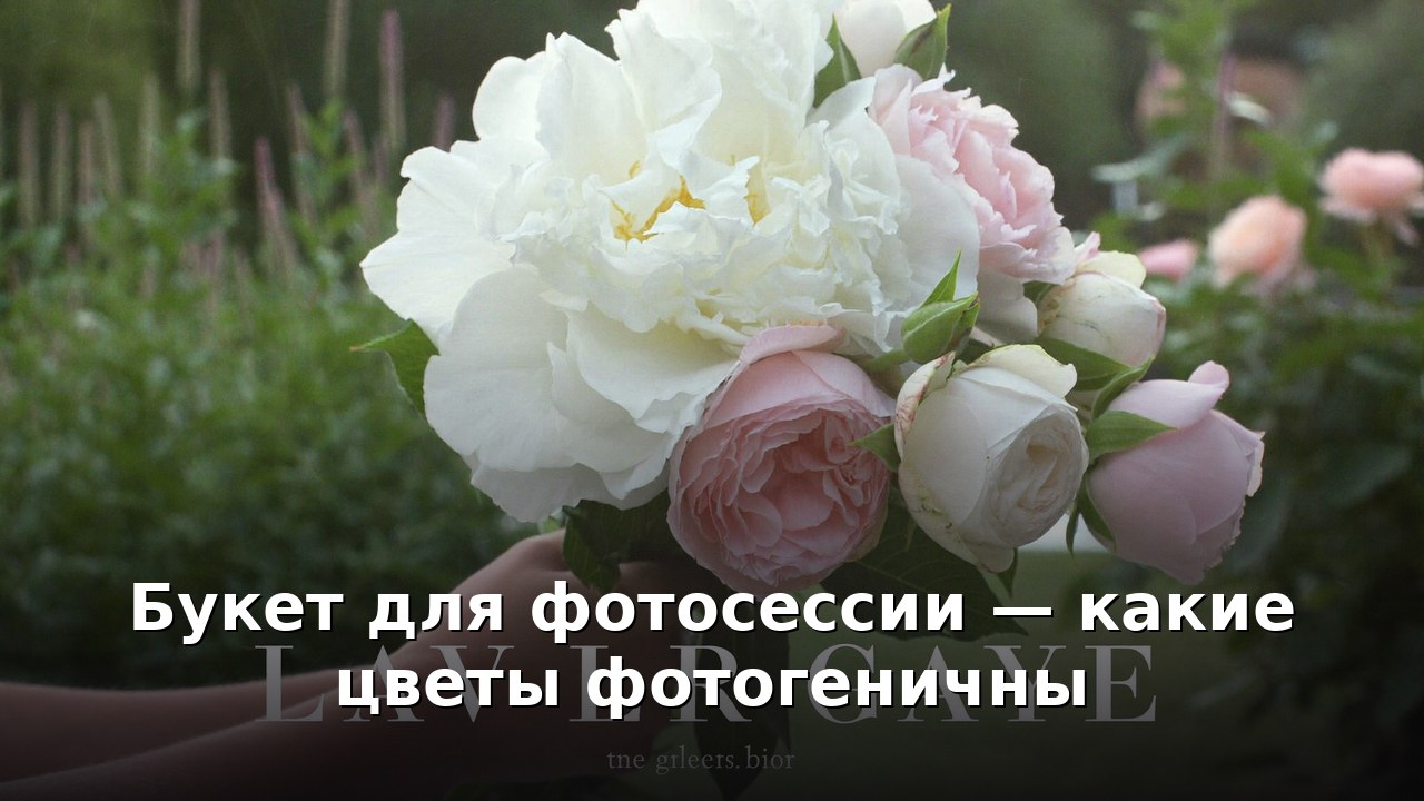 Букет для фотосессии — какие цветы фотогеничны