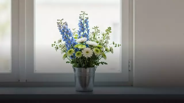 Букет для мальчика: какие цветы подарить