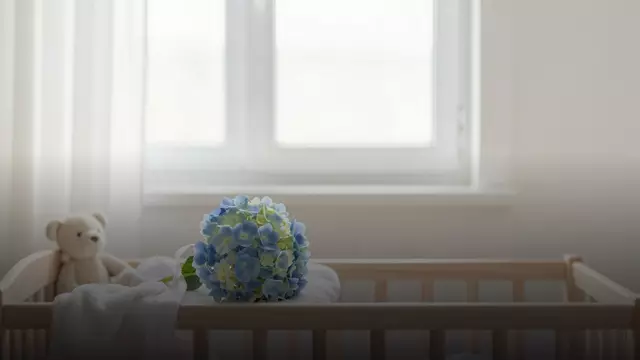Букет голубых гортензий на выписку из роддома: составы и цены