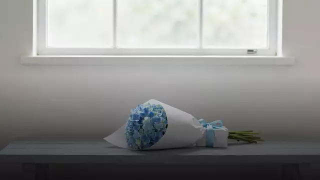 Букет голубых гортензий в подарок: как выбрать маме и девушке