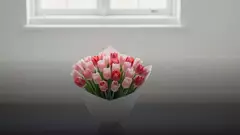 Букет из 101 тюльпанов: как выглядит и кому подарить