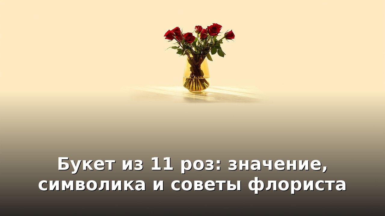 Букет из 11 роз: значение, символика и советы флориста