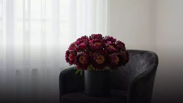 Букет из 25 бордовых пионов: кому и когда дарить