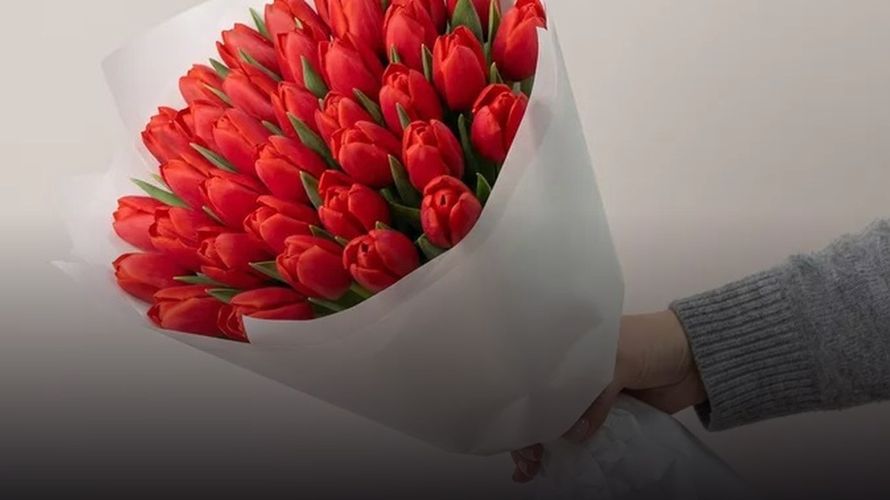51 красный тюльпан: как выбрать букет для важного повода