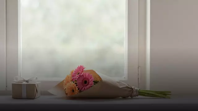 Букет из гербер подруге: как выбрать, составить и заказать