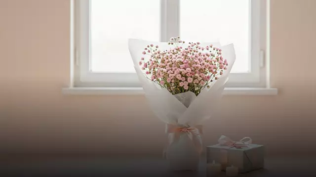Букет из гипсофилы на день рождения: как выбрать и сколько стоит