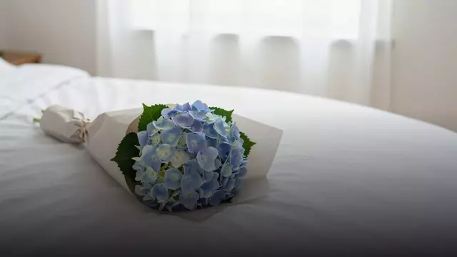 Букет из гортензий девушке: как выбрать размер и цвет