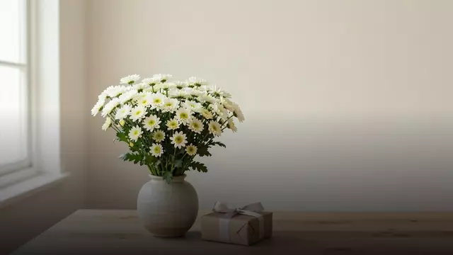 Букет из хризантем на день рождения: как выбрать и сколько стоит