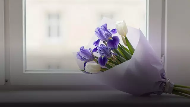 Букет из ирисов на 8 Марта: как выбрать, кому дарить и как ухаживать