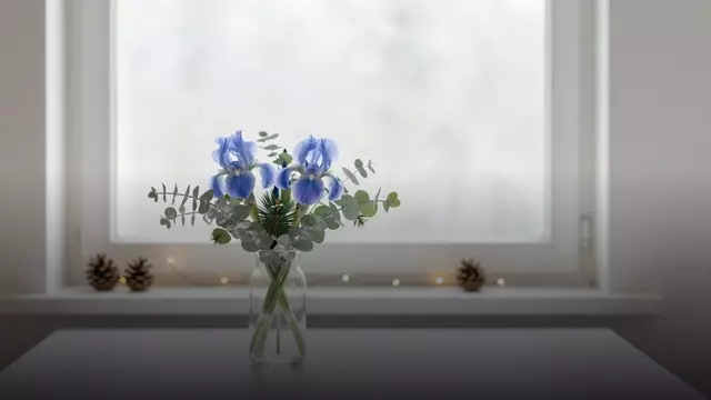 Букет из ирисов на Новый год: сорта, составы и советы флориста