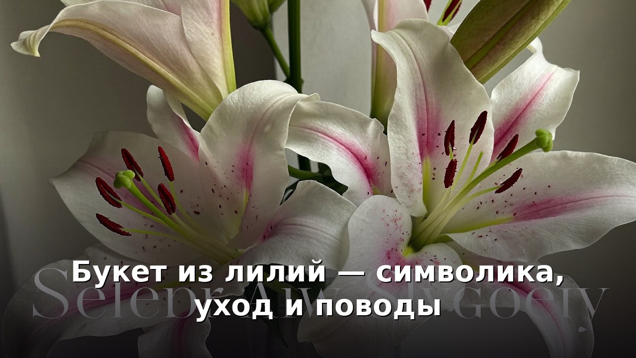Букет из лилий — символика, уход и поводы