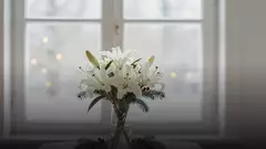 Букет из лилий на Новый год: сорта, составы и как сохранить дольше