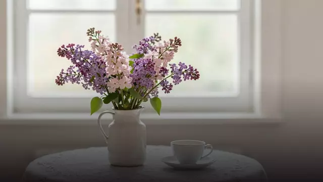 Букет из маттиол маме: какой выбрать