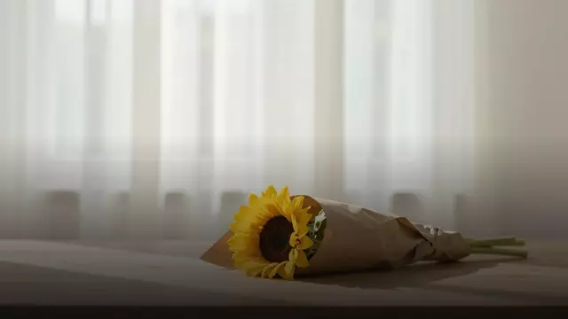 Букет из подсолнухов девушке: как выбрать размер и цвет