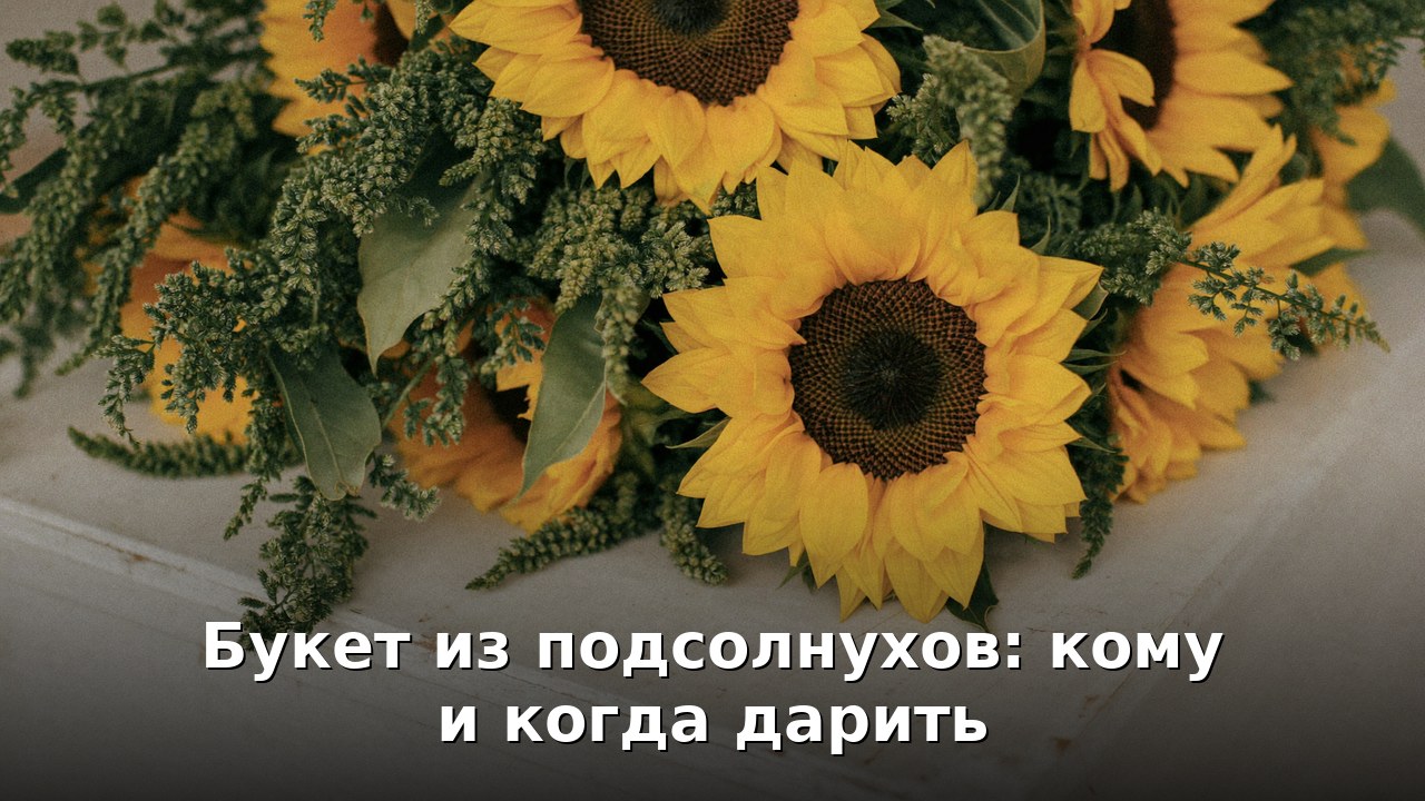 Букет из подсолнухов — значение и поводы