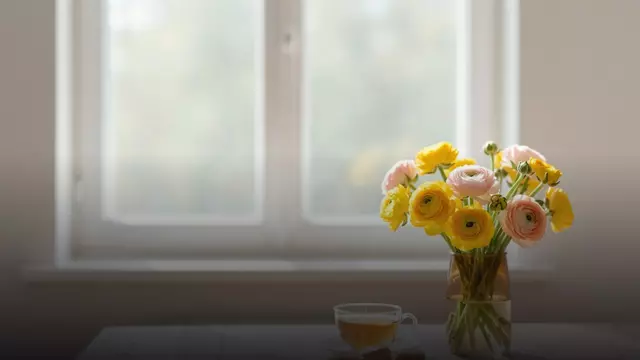 Букет из ранункулюсов на день рождения: как выбрать и сколько стоит