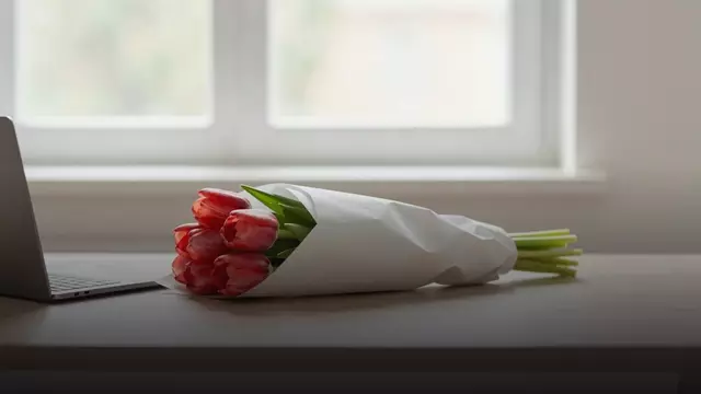 Букет красных тюльпанов коллеге: как выбрать в Санкт-Петербурге
