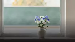 Букет синих ирисов учителю: как выбрать, составить и не прогадать