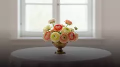 Что означают ранункулюсы: символика цвета и количества