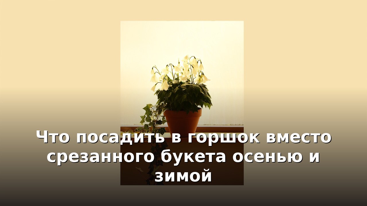 Что посадить в горшок вместо срезанного букета осенью и зимой