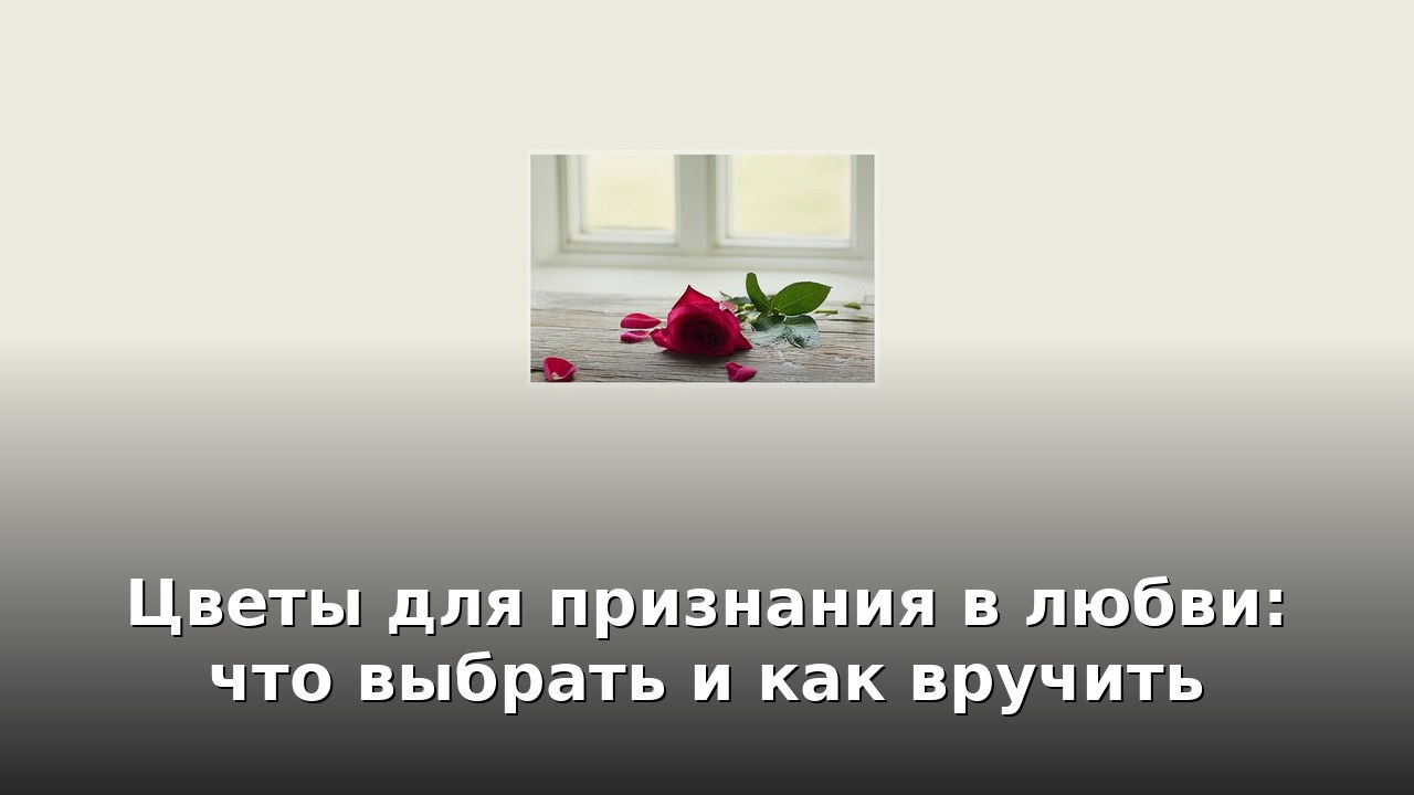 Цветы для признания в любви: что выбрать и как вручить