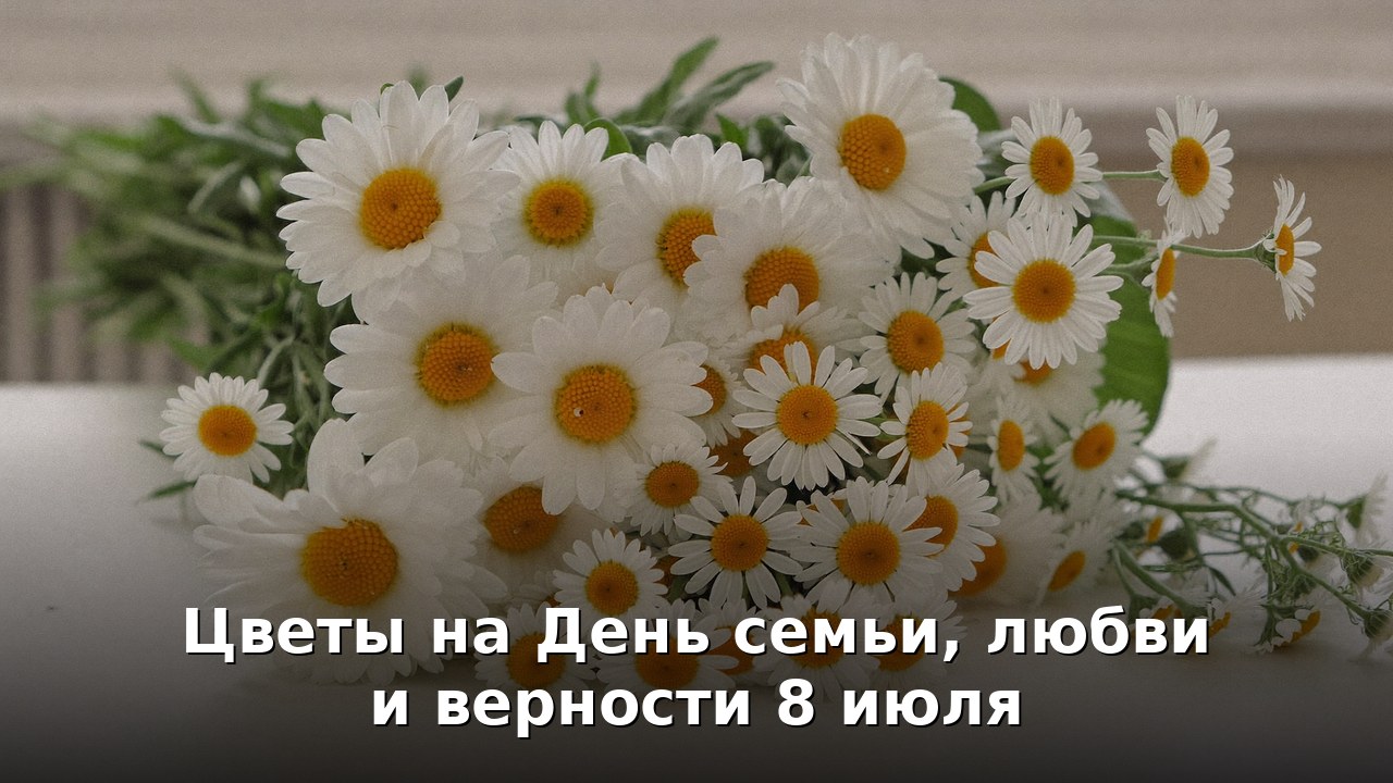 Какие цветы подарить на День семьи 8 июля