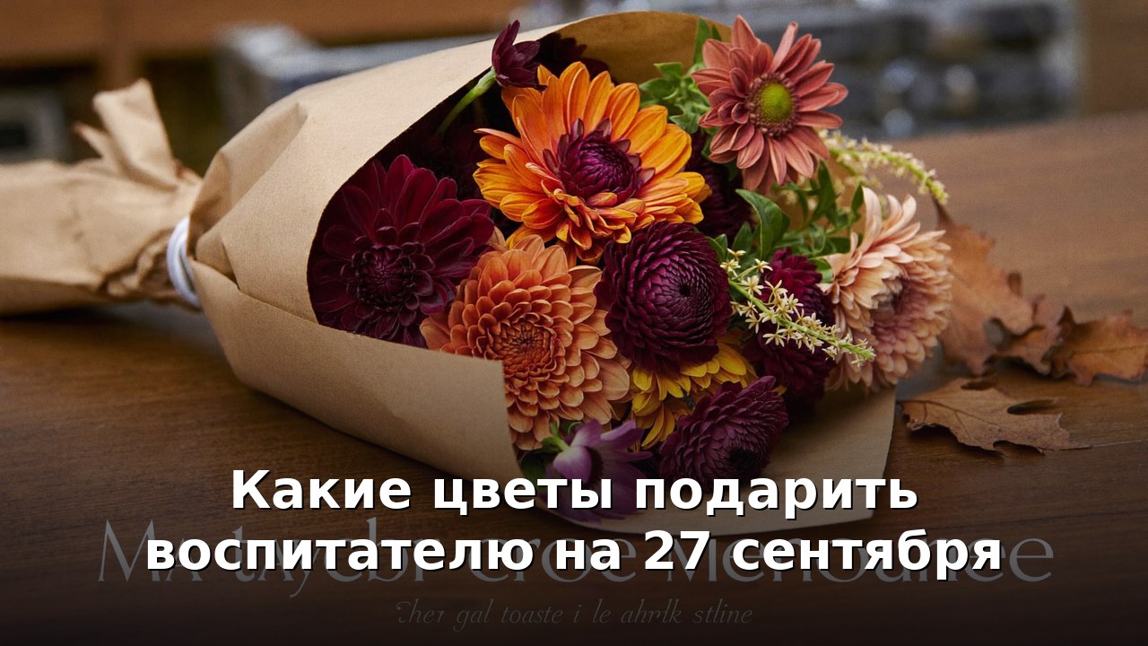 Какие цветы подарить воспитателю на 27 сентября