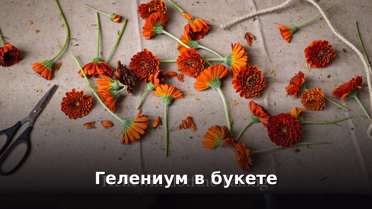 Гелениум в букете