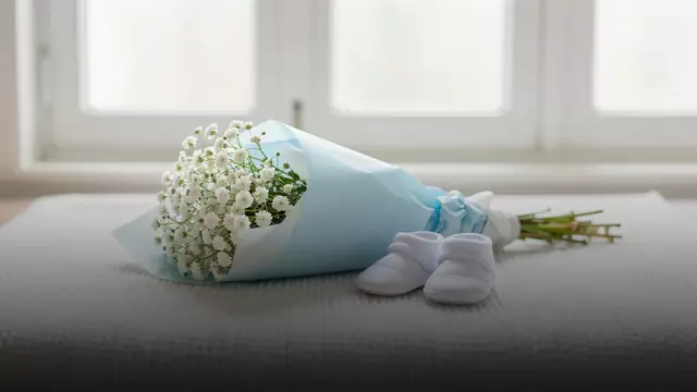 Гипсофила на выписку из роддома: как выбрать букет и сколько он стоит