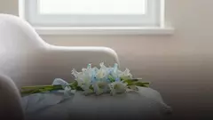 Гладиолусы на выписку из роддома: как выбрать букет и сколько он стоит