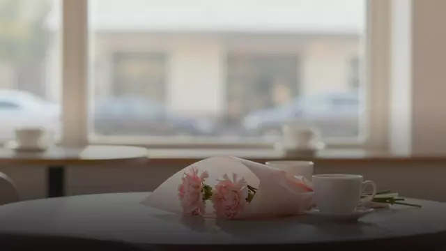Гвоздики девушке на первое свидание: как выбрать букет