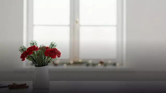 Гвоздики коллеге на Новый год: как выбрать букет
