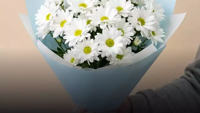 Хризантемы бабушке на юбилей: какой букет подарить