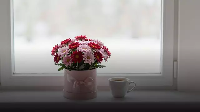 Хризантемы на 14 февраля: как выбрать букет и сколько он стоит