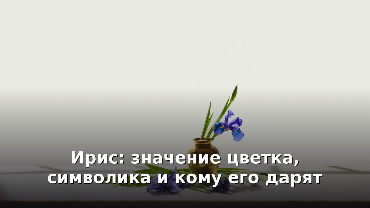 Ирис: значение цветка, символика и кому его дарят