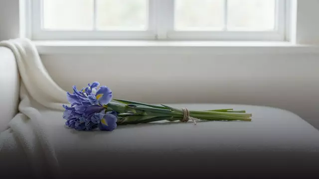 Ирисы девушке без повода: как выбрать букет