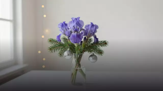 Ирисы коллеге на Новый год: как выбрать букет