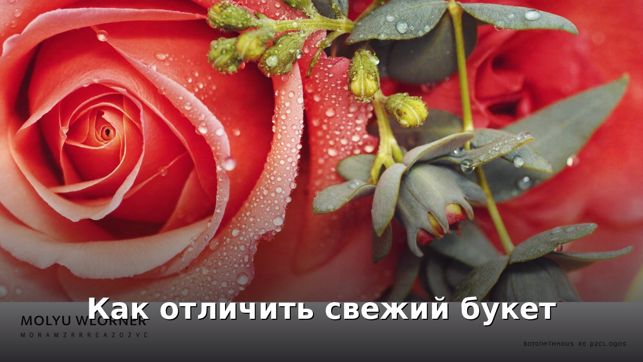 Как отличить свежий букет