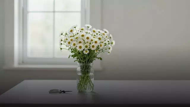 Как продлить жизнь букету из ромашек: уход по дням