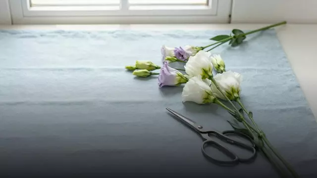 Как выбрать свежие эустомы: советы флориста перед покупкой